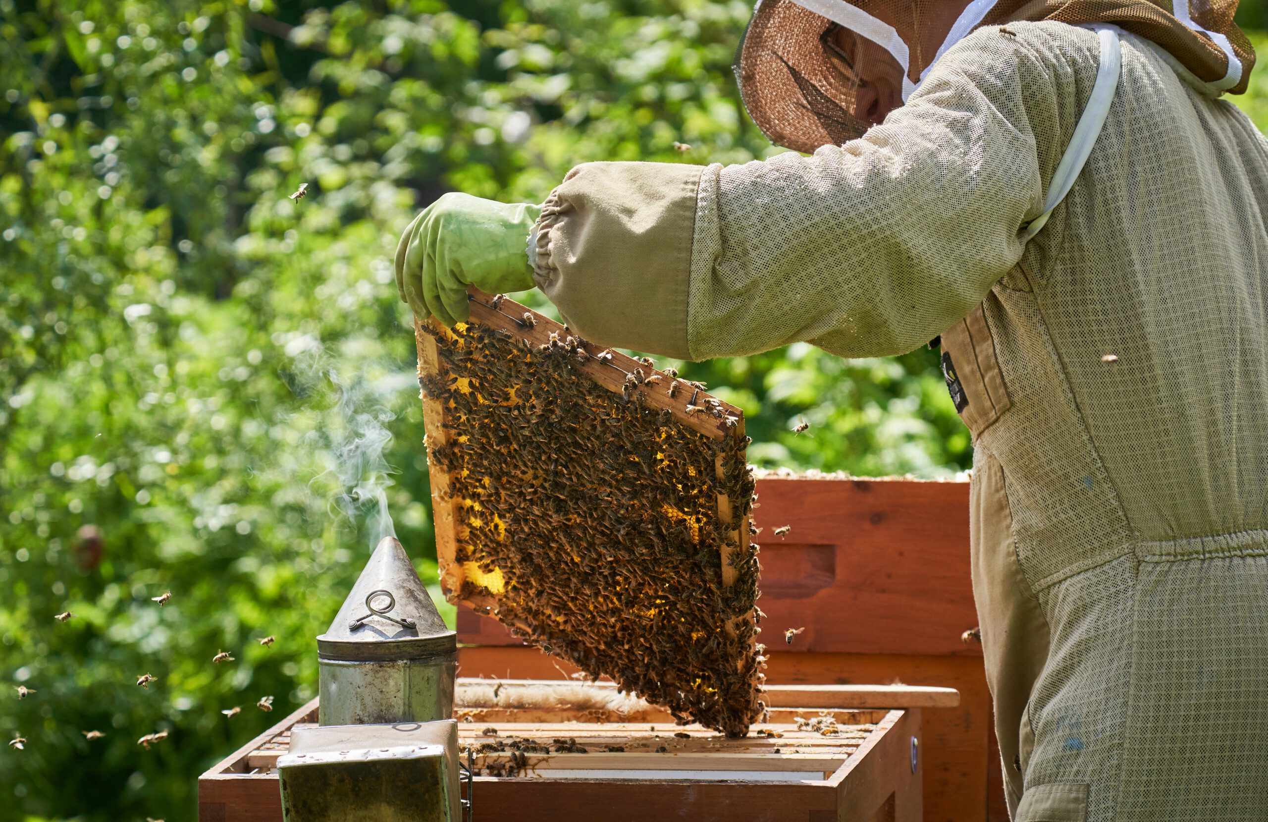 10 Luthergarten scaled