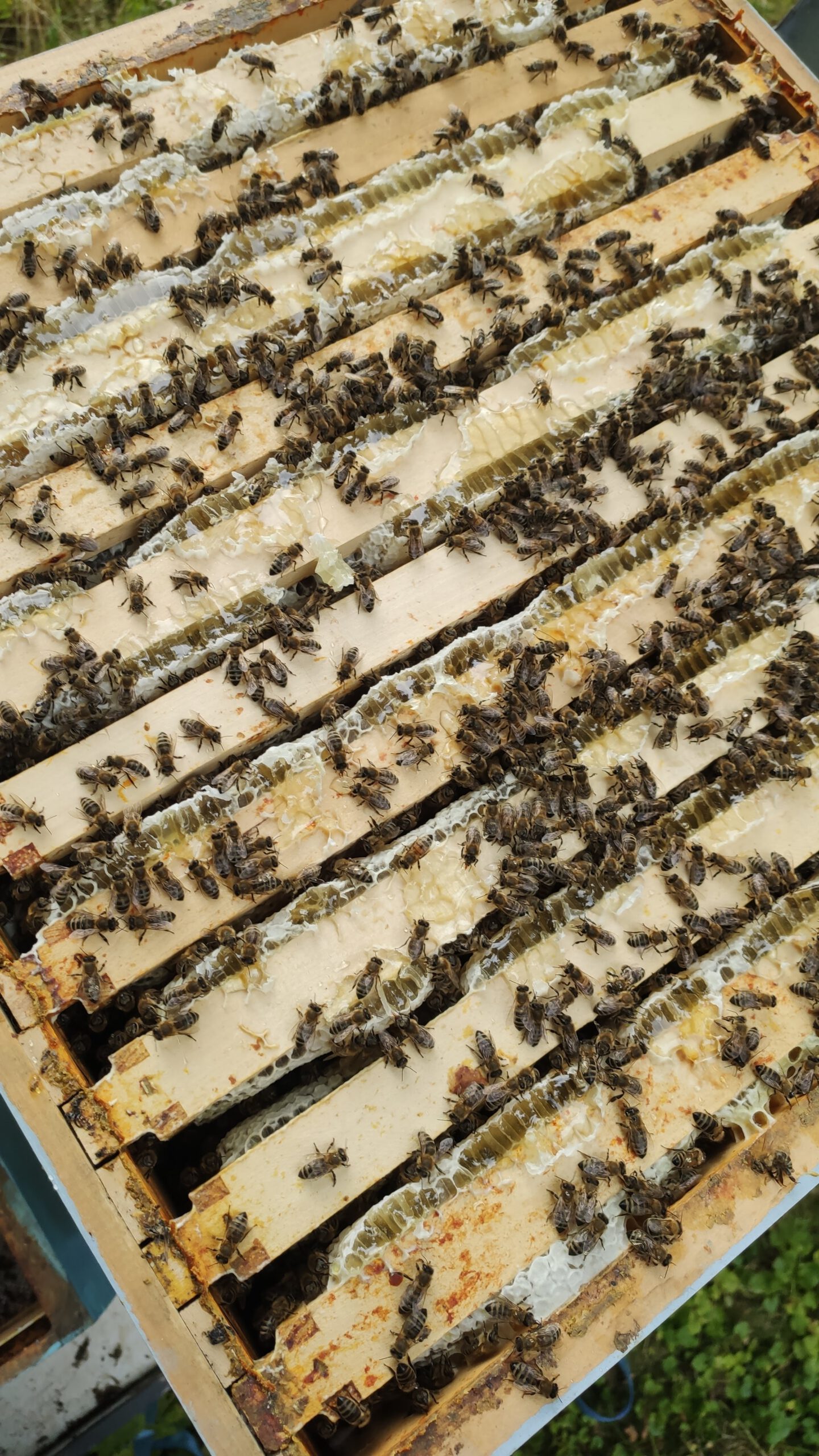 IMG 20220701 190444 scaled