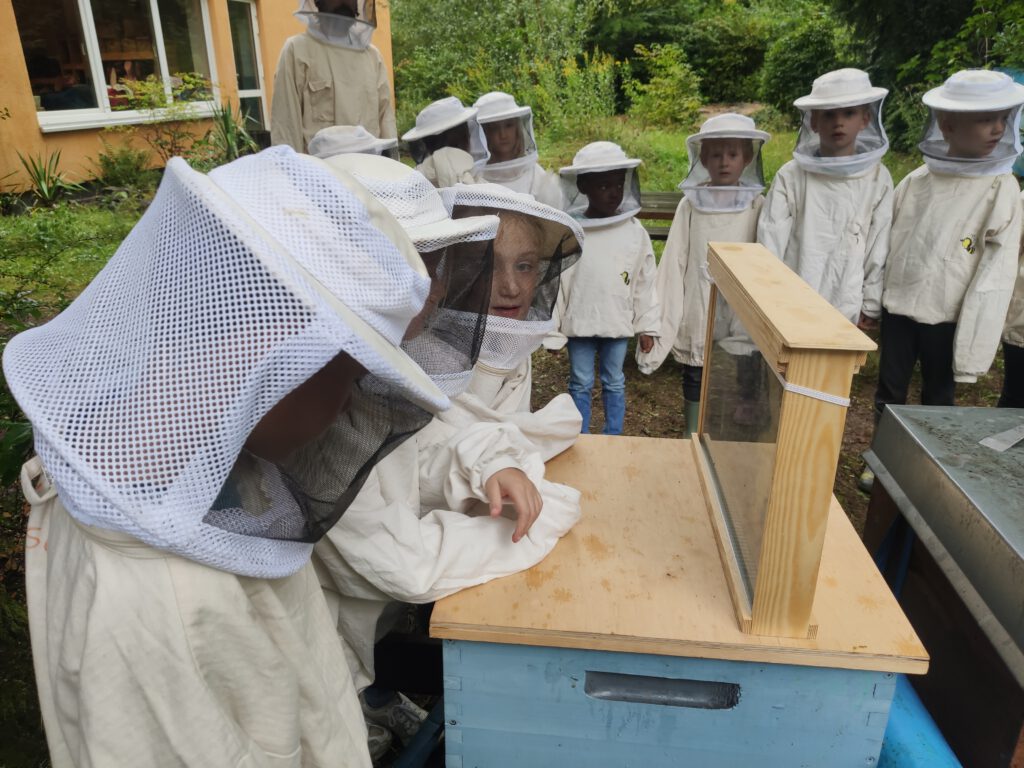 Kinder am Bienenschaukasten