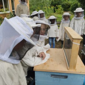 Kinder am Bienenschaukasten